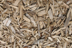 biomass boilers Domewood
