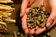 Domewood pellet boiler